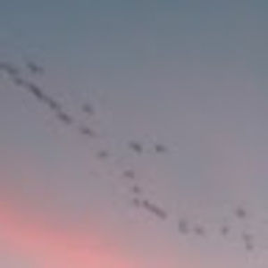 Meet your Posher, Brittlynn